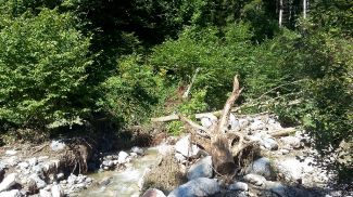 14.07.2017 Forstunfall FF03 14.07.2017 Forstunfall FF03